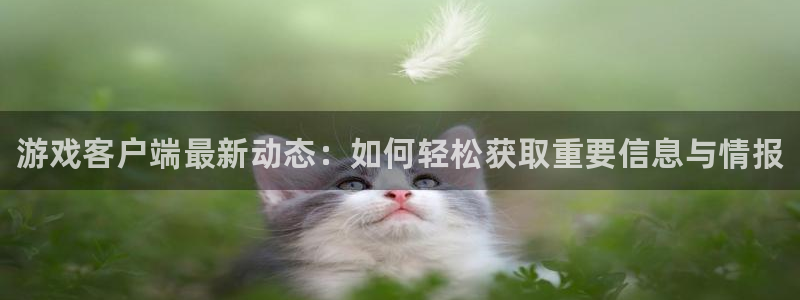 杜邦娱乐登录地址：游戏客户端最新动态：如何轻松获取重要信息与