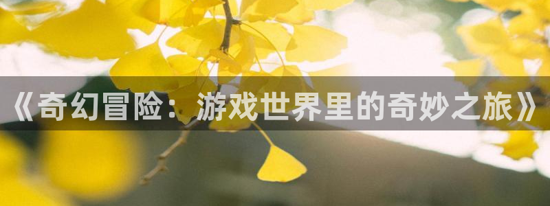 杜邦娱乐平台注册开户：《奇幻冒险：游戏世界里的奇妙之旅》