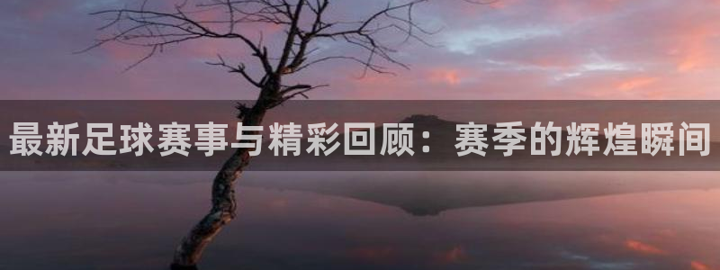 杜邦娱乐网址官网：最新足球赛事与精彩回顾：赛季的辉煌瞬间
