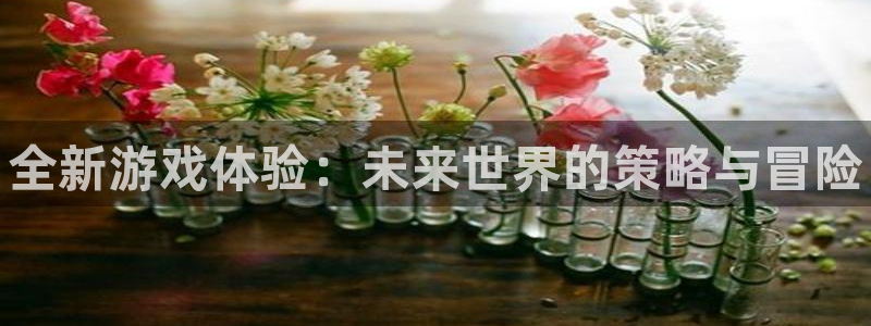 杜邦娱乐平台官网注册：全新游戏体验：未来世界的策略与冒险