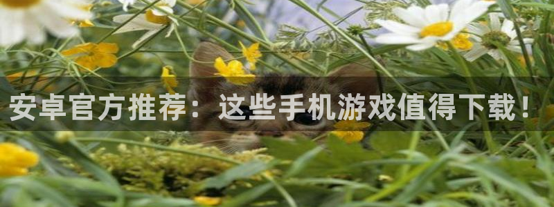 杜邦娱乐科技：安卓官方推荐：这些手机游戏值得下载！
