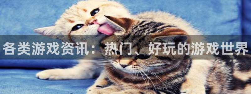 杜邦娱乐手机网页版登录：各类游戏资讯：热门、好玩的游戏世界