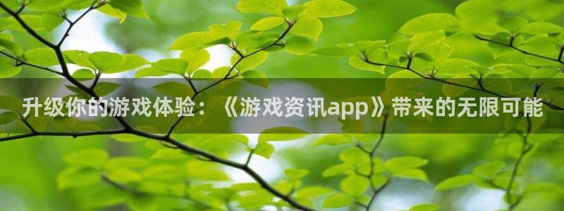 杜邦娱乐注册平台：升级你的游戏体验：《游戏资讯app》带来的