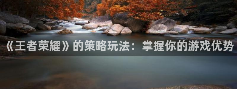 杜邦娱乐4招商：《王者荣耀》的策略玩法：掌握你的游戏优势