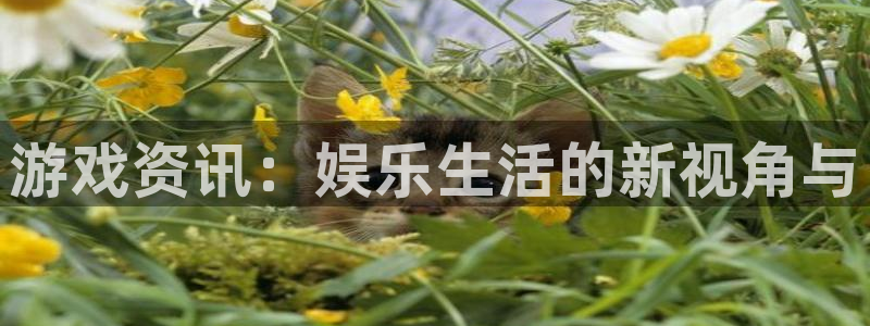 杜邦娱乐是什么：游戏资讯：娱乐生活的新视角与