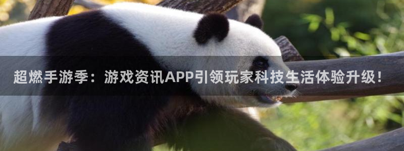 杜邦娱乐主管：超燃手游季：游戏资讯APP引领玩家科技生活体验