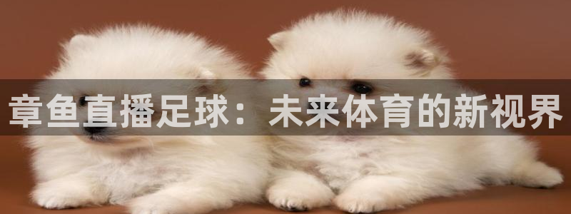 88看球直播吧：章鱼直播足球：未来体育的新视界