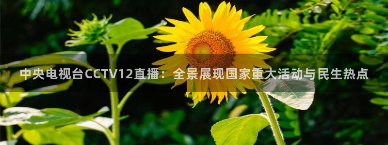 88看球nba线上直播：中央电视台CCTV12直播：全景展现国家重大活动与民生热点