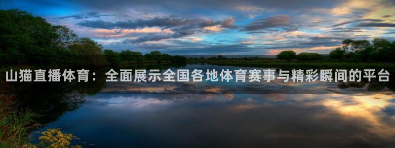 88看球nba直播间：山猫直播体育：全面展示全国各地体育赛事与精彩瞬间的平台