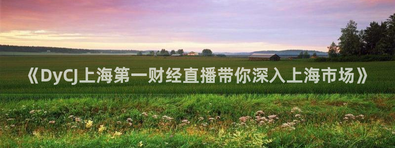88看球直播网：《DyCJ上海第一财经直播带你深入上海市场》