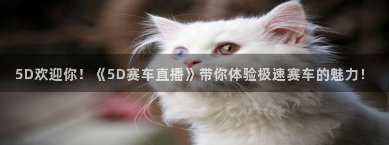 888看球直播：5D欢迎你！《5D赛车直播》带你体验极速赛车的魅力！