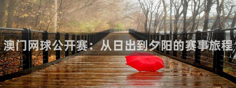 88看球直播nba免费：澳门网球公开赛：从日出到夕阳的赛事旅程